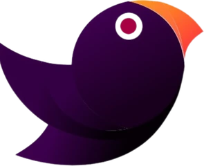Drongo Technology Limited